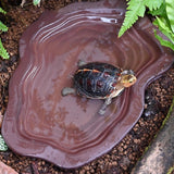 Maxbell Turtle Bathing Pool Tortoise Food Dish for Lizard Gecko Aquatic Climbing Pet