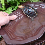 Maxbell Turtle Bathing Pool Tortoise Food Dish for Lizard Gecko Aquatic Climbing Pet