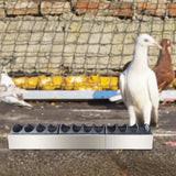 Maxbell Chicken Feeder Trough Lightweight Detachable Cover for Geese Duckling Pigeon 60x11x4.5cm