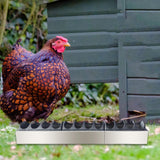 Maxbell Chicken Feeder Trough Lightweight Detachable Cover for Geese Duckling Pigeon 60x11x4.5cm