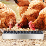 Maxbell Chicken Feeder Trough Lightweight Detachable Cover for Geese Duckling Pigeon 60x11x7cm