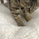 Maxbell Cat Bed with Removable Cushion Cute Reindeer Shape for Cat Small Dogs Kitten