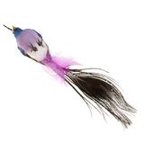 Maxbell 60pcs Artificial Peacock Feather Foam Birds Statue Display Garden Ornament