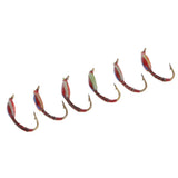 Maxbell 6pcs Buzzer Nymph Flies Trout Fishing Lure Bait Vivid Fly Fishing Flies Set - Aladdin Shoppers