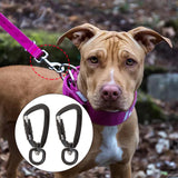 10x2Pieces Lightweight Heavy Duty Self Lock Carabiner Auto Lock Hook Hiking