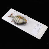 Maxbell Maxbell Multi Jointed Segmented Fishing Lures Jointed Swimbaits Crankbait  H