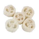 Maxbell Maxbell 5 Pieces Natural Loofah Luffa Pot Bowl Sponge Scrubber for Outdoor Hiking