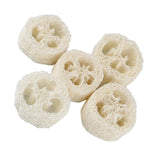 Maxbell Maxbell 5 Pieces Natural Loofah Luffa Pot Bowl Sponge Scrubber for Outdoor Hiking
