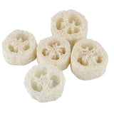 Maxbell Maxbell 5 Pieces Natural Loofah Luffa Pot Bowl Sponge Scrubber for Outdoor Hiking
