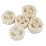 Maxbell Maxbell 5 Pieces Natural Loofah Luffa Pot Bowl Sponge Scrubber for Outdoor Hiking
