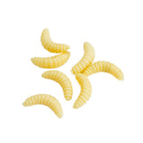 Maxbell 3x100 Pieces/Set Fishing Soft Grub Worm Bread Bug Maggots Lures Baits Beige