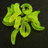 Maxbell 4x100pcs Worms Bait Soft Fishing Lure Maggots Bass Crankbait Tackle Wobbler