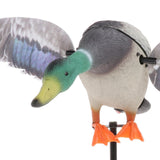 Maxbell Mallard Drake Flapping Wing Motion Motorized Duck Decoy for Outdoor Decor Male - Aladdin Shoppers