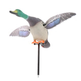 Maxbell Mallard Drake Flapping Wing Motion Motorized Duck Decoy for Outdoor Decor Male - Aladdin Shoppers
