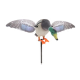 Maxbell Maxbell Mallard Drake Flapping Wing Motion Motorized Duck Decoy for Outdoor Decor Male