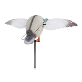 Maxbell Maxbell Mallard Drake Flapping Wing Motion Motorized Duck Decoy for Outdoor Decor Male