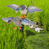 Maxbell Maxbell Mallard Drake Flapping Wing Motion Motorized Duck Decoy for Outdoor Decor Male
