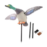 Maxbell Mallard Drake Flapping Wing Motion Motorized Duck Decoy for Outdoor Decor Male - Aladdin Shoppers