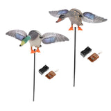 Maxbell Maxbell Mallard Drake Flapping Wing Motion Motorized Duck Decoy for Outdoor Decor Male