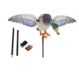 Maxbell Mallard Drake Flapping Wing Motion Motorized Duck Decoy for Outdoor Decor Male - Aladdin Shoppers