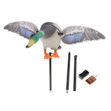 Maxbell Mallard Drake Flapping Wing Motion Motorized Duck Decoy for Outdoor Decor Male - Aladdin Shoppers