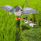 Maxbell Mallard Drake Flapping Wing Motion Motorized Duck Decoy for Outdoor Decor Male - Aladdin Shoppers