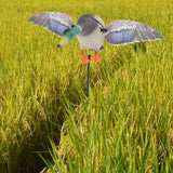 Maxbell Mallard Drake Flapping Wing Motion Motorized Duck Decoy for Outdoor Decor Male - Aladdin Shoppers