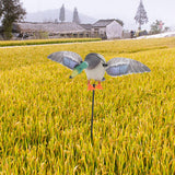 Maxbell Mallard Drake Flapping Wing Motion Motorized Duck Decoy for Outdoor Decor Male - Aladdin Shoppers