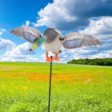 Maxbell Mallard Drake Flapping Wing Motion Motorized Duck Decoy for Outdoor Decor Male - Aladdin Shoppers