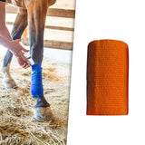 Maxbell 2xVet Wrap 4 inch Wide Non Woven Elastic Self Adherent Wrap for Dogs Pet Ankle Orange