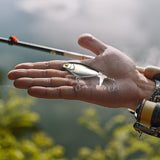 Maxbell 2xTopwater Fishing Lures Top Water Bass Lure for Pike Bass Freshwater Saltwater Argent