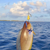 Maxbell Maxbell Fishing Lures Spinnerbait Compact Fishing Tackle for Walleye Crappie Snapper