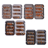 Maxbell Maxbell 40Pcs Fly Fishing Flies Outdoor Portable with Hook for Snapper Trout Walleye Black