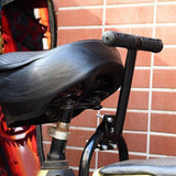 Maxbell Bike Seat Armrest Handrail Bicycle Rear Seat Handle for Cycling Outdoor Vertical 18cmx17cm