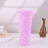 Maxbell Water Bottle with Straw 710ml Leakproof Double Layer Drink Bottle with Lid Light Purple