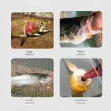 Maxbell 12Pcs Fly Fishing Lures Trout Lures Fishing Baits for Sunfish Snapper Salmon