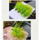 Maxbell 4x Fly Fishing Lures Father's Day Lifelike Anglers Outdoor Fly Fishing Flies 2.15cmx0.85cm