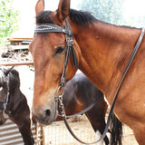 Maxbell Horse Bridle with Reins PU Leather Western Saddles Harness Horse Riding Rope Black