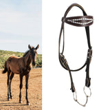 Maxbell Horse Bridle with Reins PU Leather Western Saddles Harness Horse Riding Rope Brown
