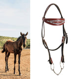 Maxbell Horse Bridle with Reins PU Leather Western Saddles Harness Horse Riding Rope Red