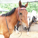 Maxbell Horse Bridle with Reins PU Leather Western Saddles Harness Horse Riding Rope Red