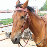 Maxbell Horse Bridle with Reins PU Leather Western Saddles Harness Horse Riding Rope Red