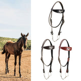 Maxbell Horse Bridle with Rein Sturdy Harness Horse Riding Rope Equestrian Equipment Black