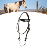 Maxbell Horse Bridle with Rein Sturdy Harness Horse Riding Rope Equestrian Equipment Black