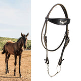 Maxbell Horse Bridle with Rein Sturdy Harness Horse Riding Rope Equestrian Equipment Black