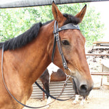 Maxbell Horse Bridle with Rein Sturdy Harness Horse Riding Rope Equestrian Equipment Black