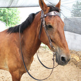 Maxbell Horse Bridle with Rein Sturdy Harness Horse Riding Rope Equestrian Equipment Brown