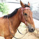 Maxbell Horse Bridle with Rein Sturdy Harness Horse Riding Rope Equestrian Equipment Red