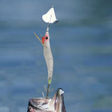 Maxbell Luminous Squid Jig Vivid Fishing Baits Fishing Gear for Freshwater Saltwater Red