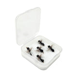 Maxbell 5x Foam Dry Fly Flies with High Carbon Hooks for Men Women Fisherman Anglers